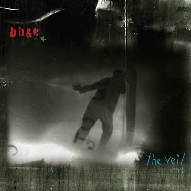 The Veil - Nels Cline