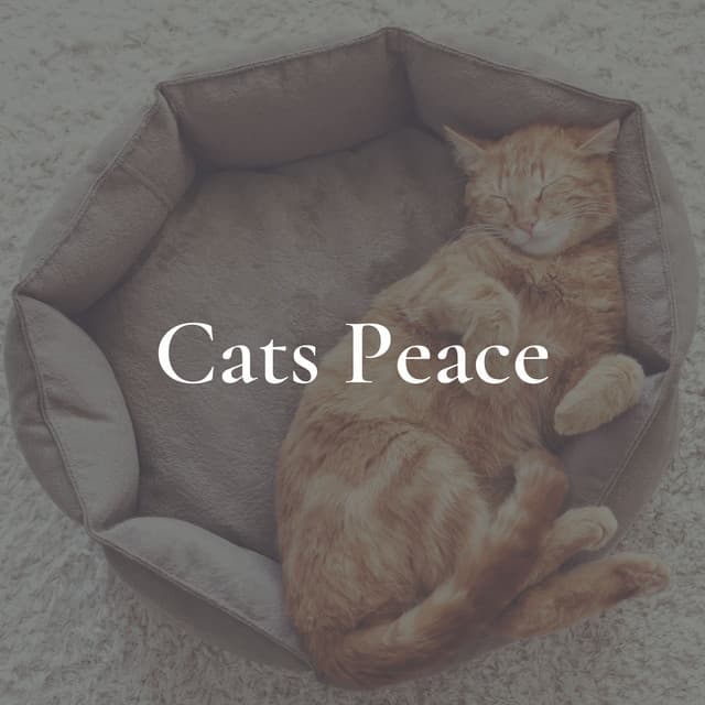 Cats Peace - Music for Cats Peace