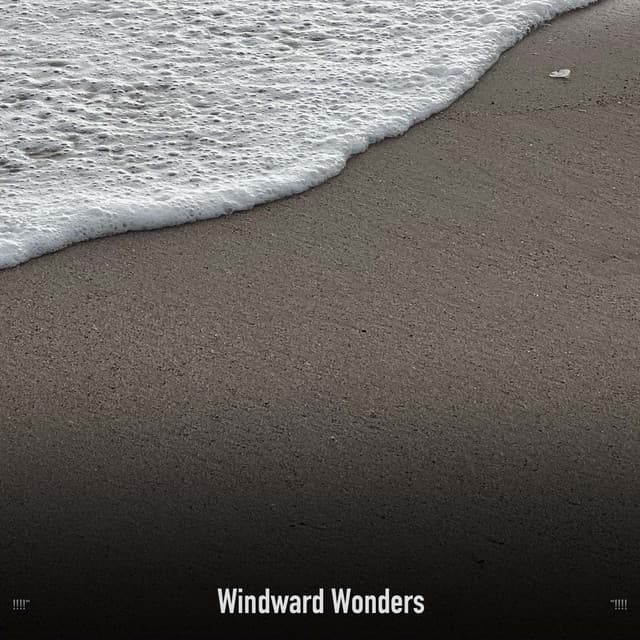 !!!!" Windward Wonders "!!!! - Ocean Waves