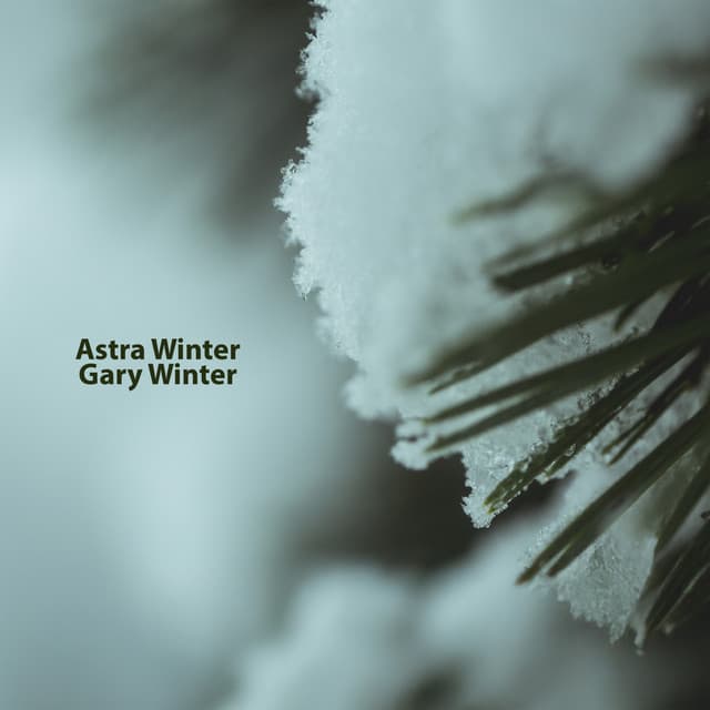 The Embrace of Frost - Astra Winter