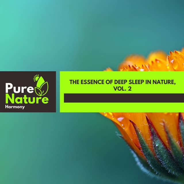 The Essence of Deep Sleep in Nature, Vol. 2 - Nature Field Recordings