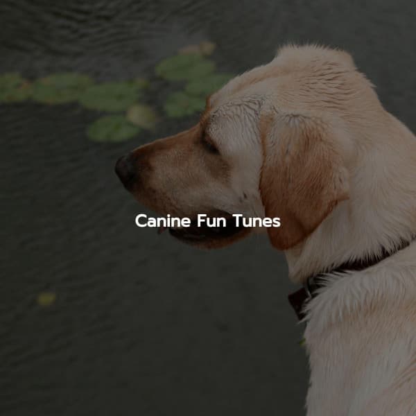 Canine Fun Tunes - Bebop Jazz Radio