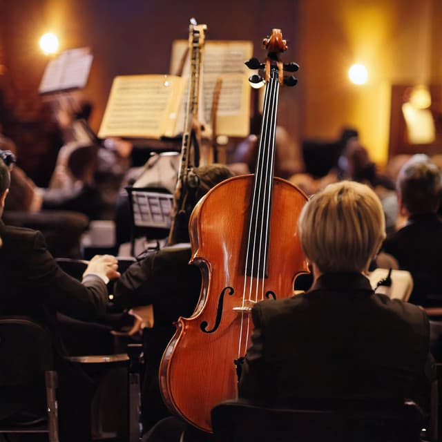 Orchestra for Focus: Study Music Sessions - Raymond Floyd