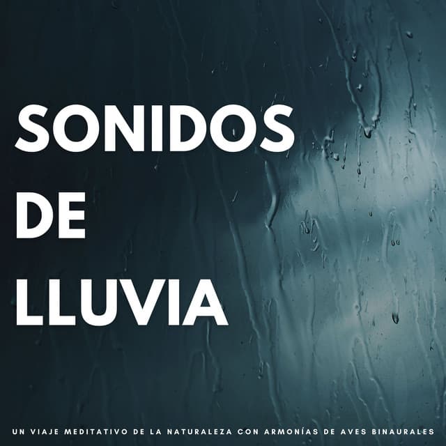Laboratorio de Sonidos de Lluvia