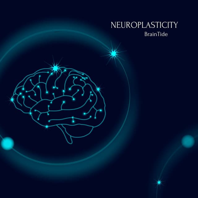 Neuroplasticity: Enhancing Cognitive Flexibility, Memory, Focus, and Creativity for Lifelong Brain Adaptation - BrainTide