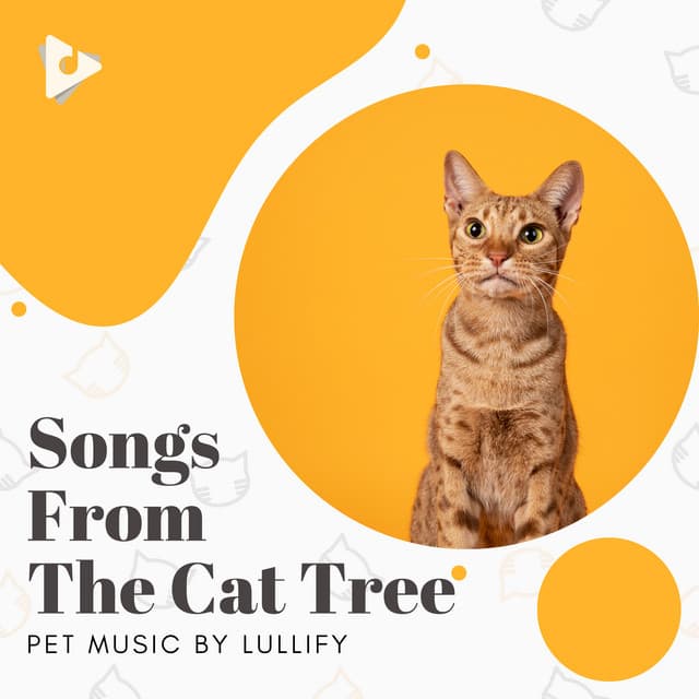Songs From The Cat Tree - Pet Music by Lullify