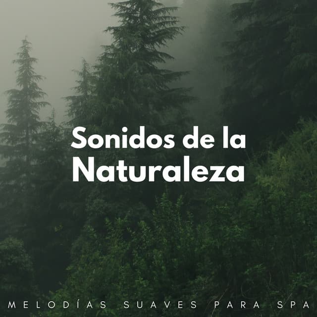 Sonidos De La Naturaleza: Melodías Suaves Para Spa - Academia de sonidos de la naturaleza