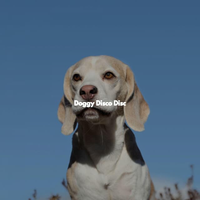 Doggy Disco Disc - Cafe Jazz Paris