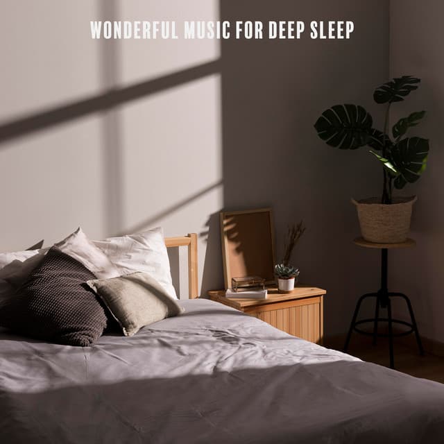 Wonderful Music for Deep Sleep. Cure for Insomnia Problems, Delicate New Age Sounds - Insomnia Cure Music Society