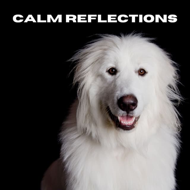 Calm Reflections - Dog Calming Music