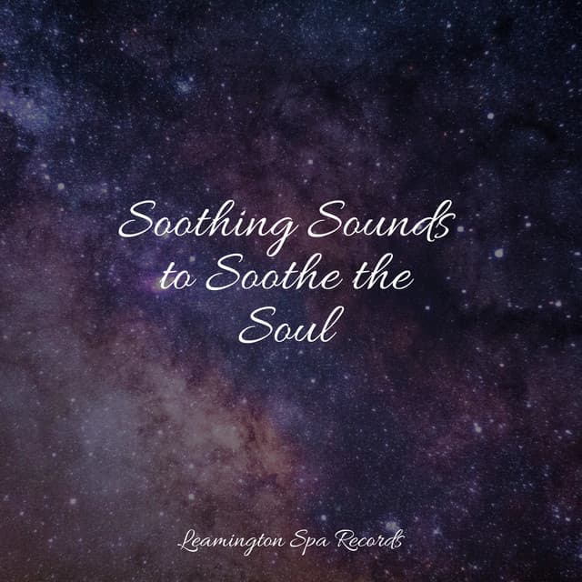 Soothing Sounds to Soothe the Soul - Natural Sample Makers