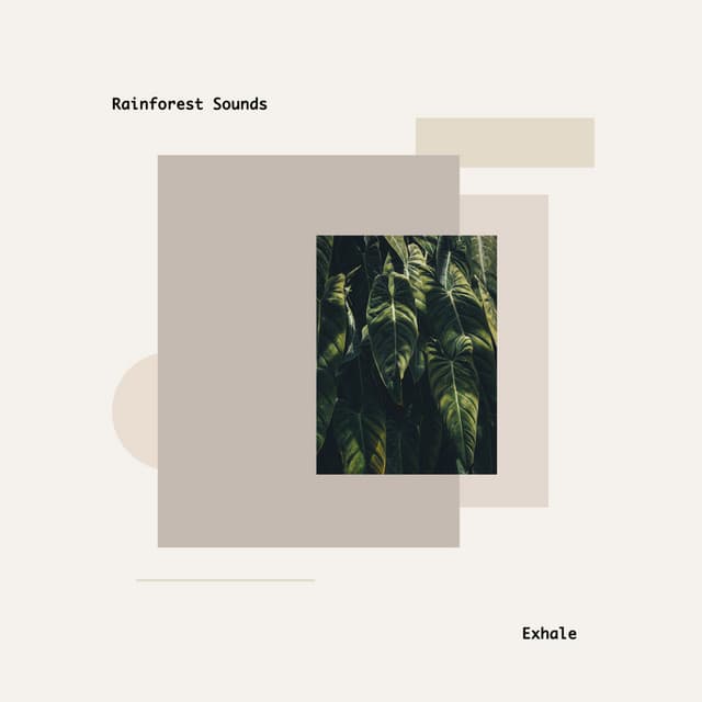 Exhale - Rainforest Sounds