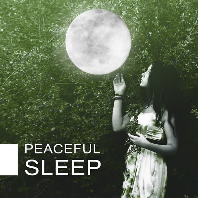 Peaceful Sleep – Nature Sounds for Relaxation, Calming Melodies Reduce Stress - The Calming Sounds Of Nature