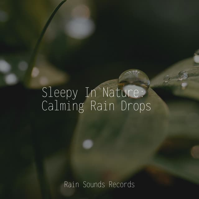 Sleepy In Nature: Calming Rain Drops - Sonidos de la Naturaleza Relajacion