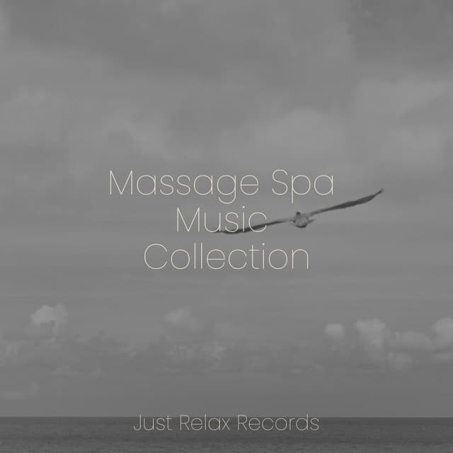 Massage Spa Music Collection - MÚSICA PARA NIÑOS