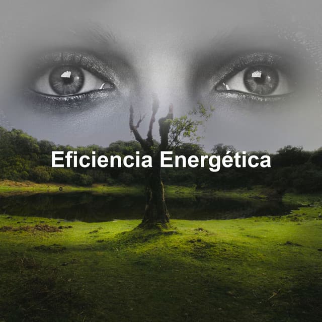 Eficiencia Energética - Para la concentración