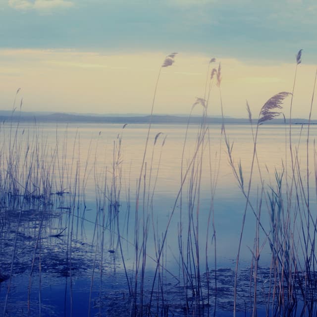 River's Edge: ASMR and Mindful Meditation - Soothing Ocean Sounds