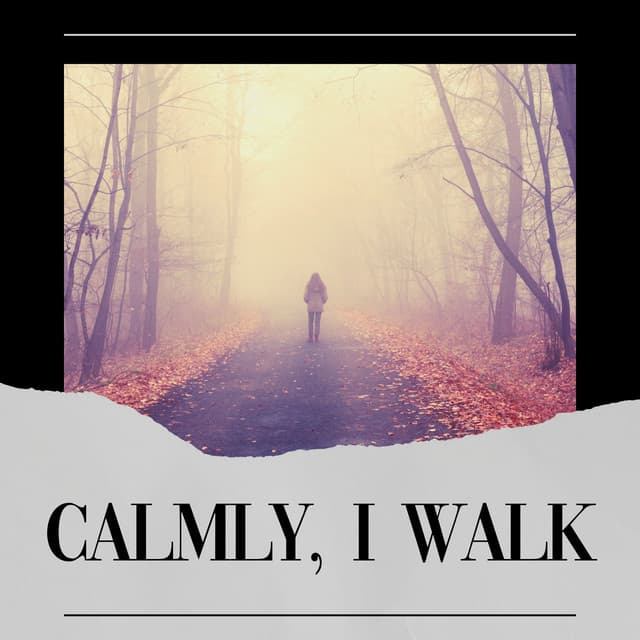 Calmly, I Walk - Calm Music for Studying
