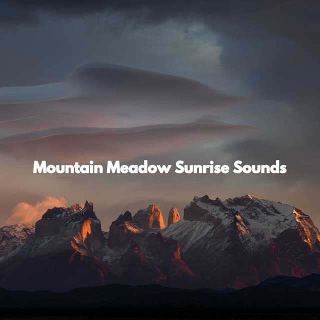 Mountain Meadow Sunrise Sounds - New Orleans Jazz Band