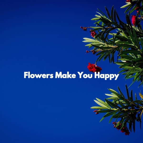 Flowers Make You Happy - Música para Centros Comerciales