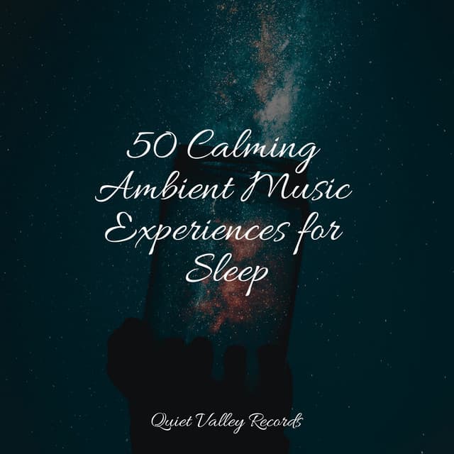 50 Calming Ambient Music Experiences for Sleep - Loopable Rain Sounds