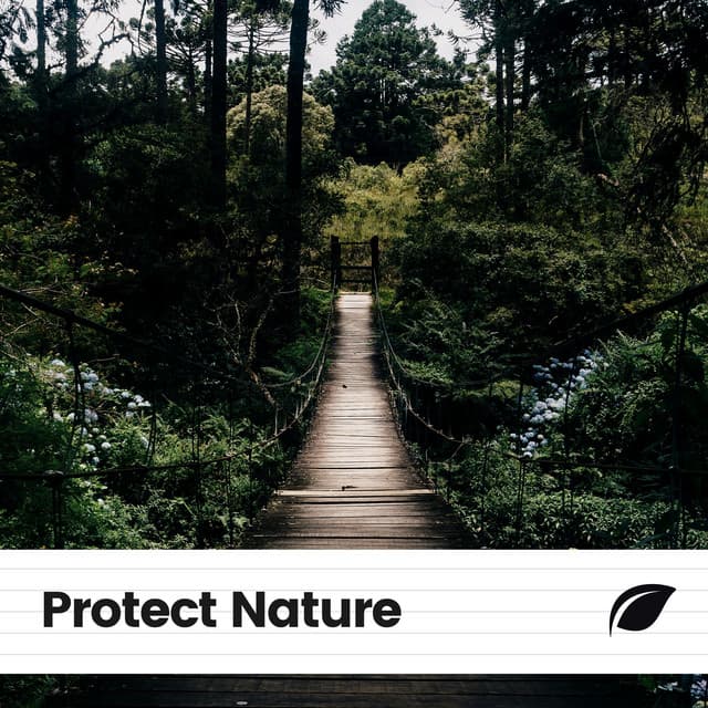 Protect Nature - Island Nature Sounds