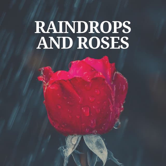 Raindrops and Roses - Rain Sounds & White Noise