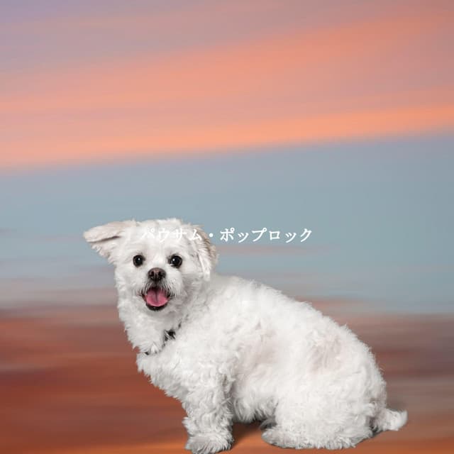 パウサム・ポップロック - Perfect Weekend Jazz