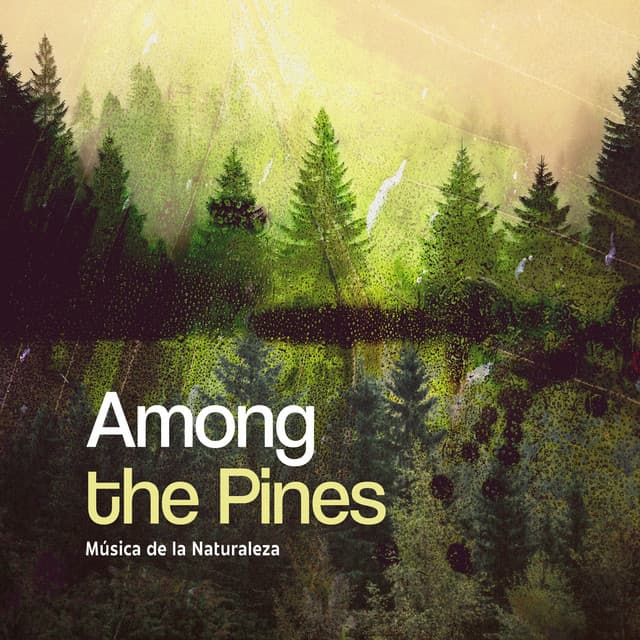 Among the Pines - Música de la Naturaleza