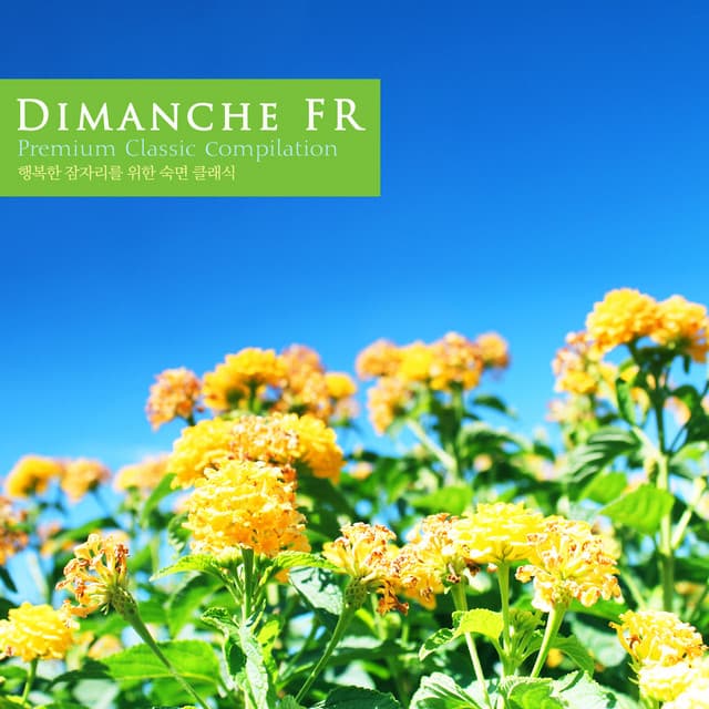 Sleeping Classics For Happy Sleeping - 숙면 테라피