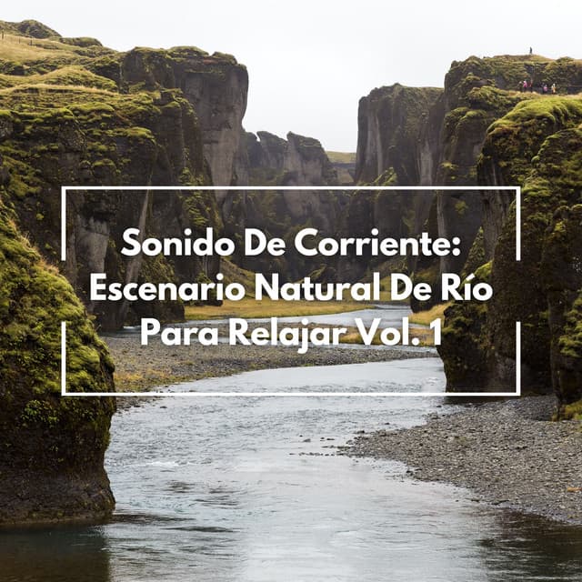 Sonido De Corriente: Escenario Natural De Río Para Relajar Vol. 1 - Ruido y Naturaleza
