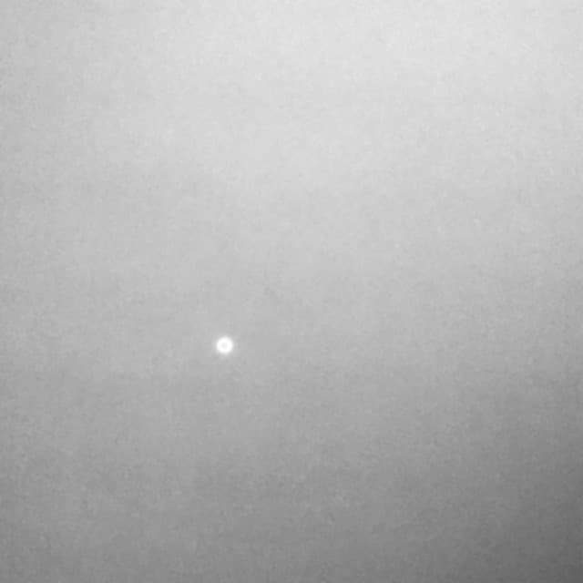 Miguel Ángel Tolosa