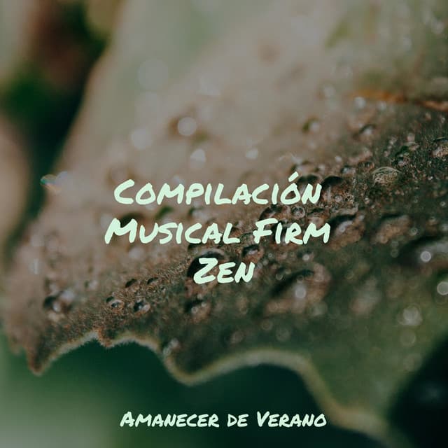 Compilación Musical Firm Zen - Musica para Meditar