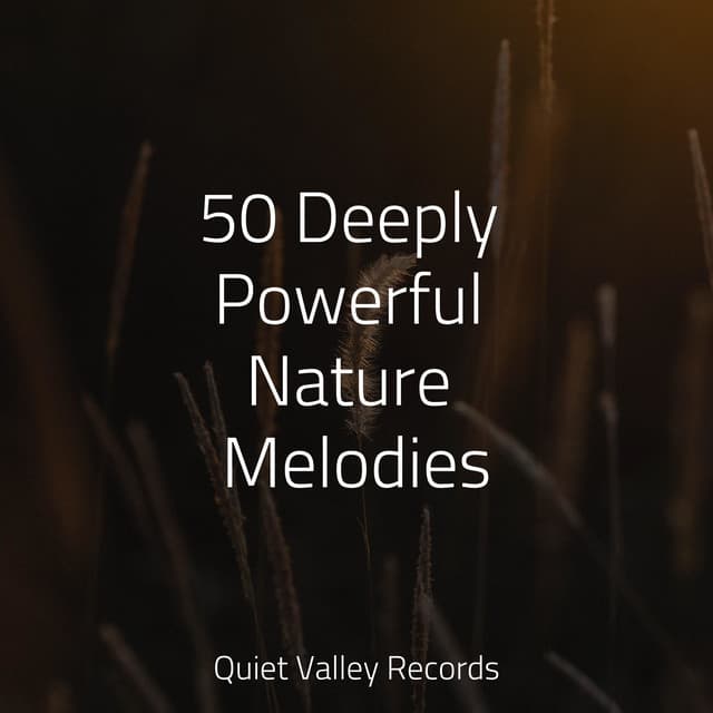 50 Deeply Powerful Nature Melodies - Pro Sounds of Nature