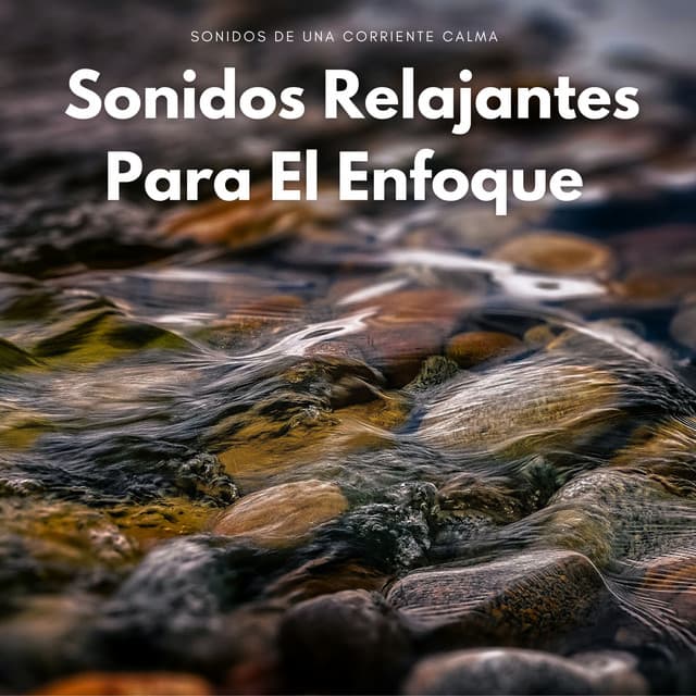 Sonidos De Una Corriente Calma: Sonidos Relajantes Para El Enfoque - Paisaje sonoro de agua goteando