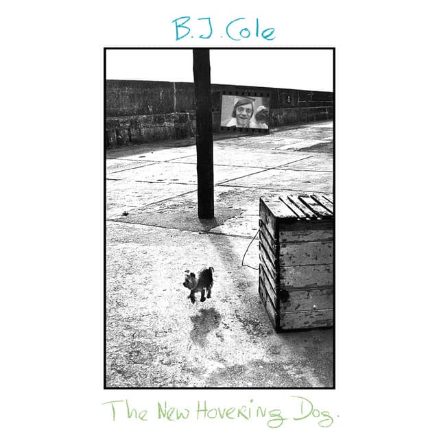 The New Hovering Dog - BJ Cole