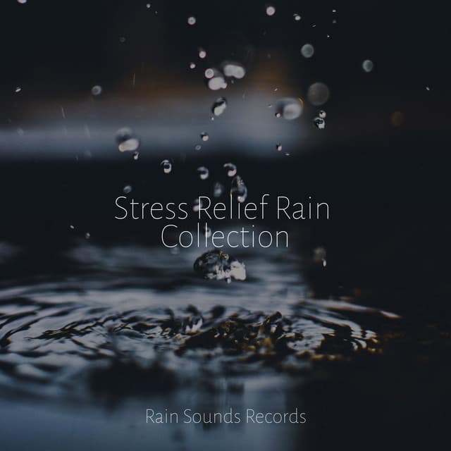 Stress Relief Rain Collection - Rising Higher Meditation