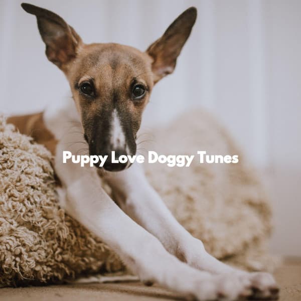 Puppy Love Doggy Tunes - Songs for Dogs to Sleep To