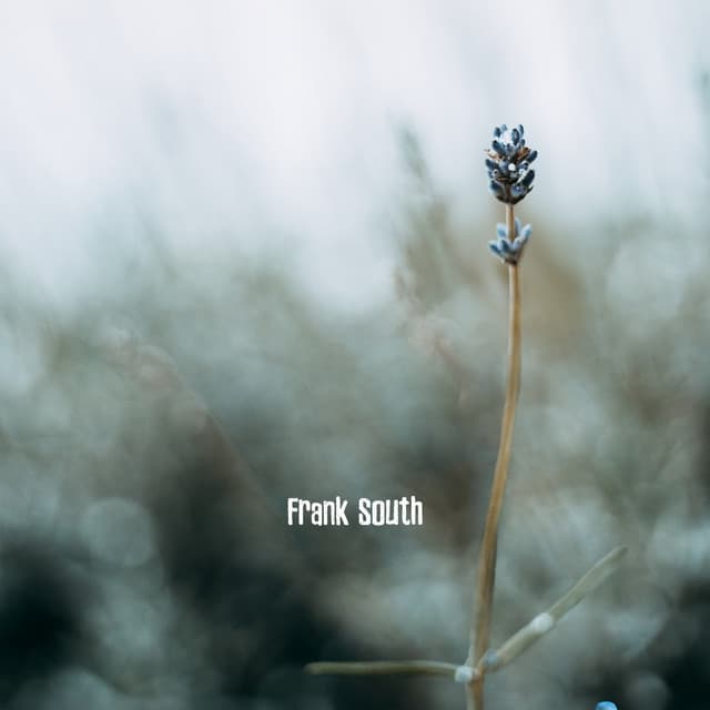 Softly Rooted - Frank South