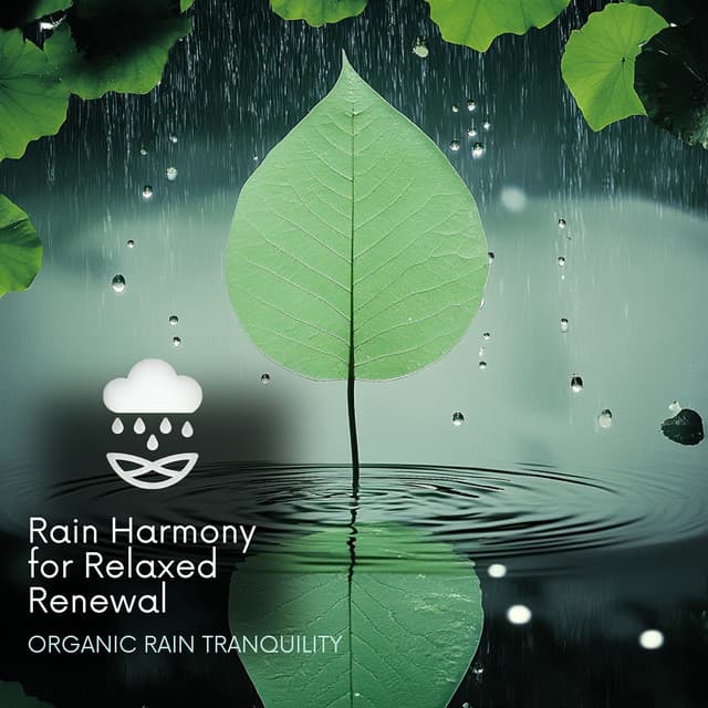 Rain Harmony for Relaxed Renewal - Organic Rain Tranquility