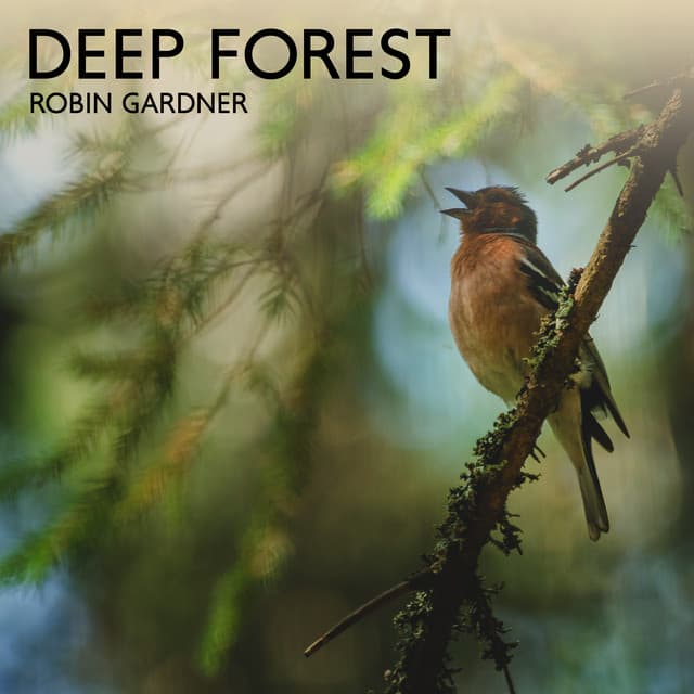 Deep Forest - Robin Gardner