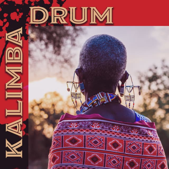 Kalimba Drum - Kenny Woid