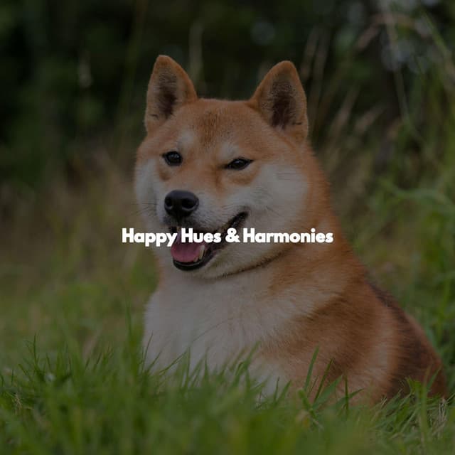 Happy Hues & Harmonies - Study Time