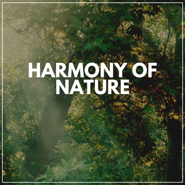 Harmony of Nature - Naturalis