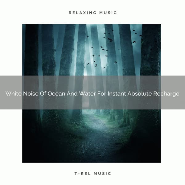 White Noise Of Ocean And Water For Instant Absolute Recharge - Sleep Dimension