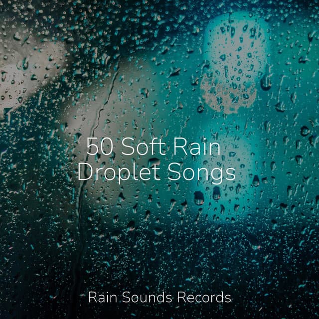 50 Soft Rain Droplet Songs - Nature Sounds
