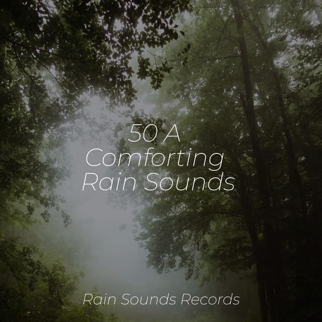 50 A Comforting Rain Sounds - Spa