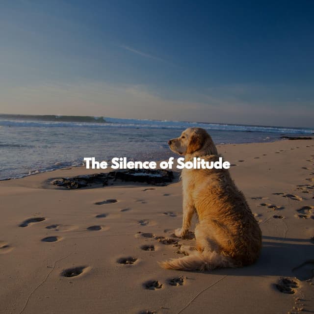 The Silence of Solitude - Calm Instrumental Coffee House