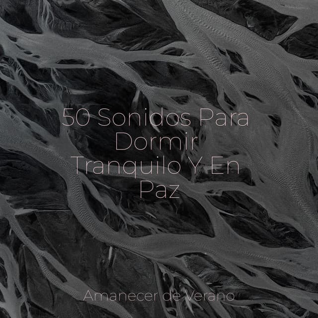 50 Sonidos Para Dormir Tranquilo Y En Paz - Instrumental