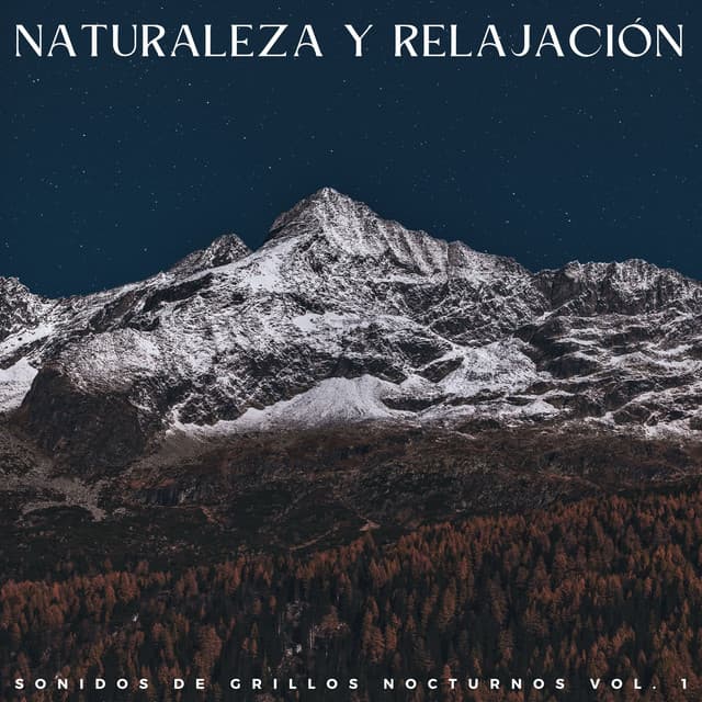 Naturaleza Y Relajación: Sonidos De Grillos Nocturnos Vol. 1 - Naturaleza Ruido